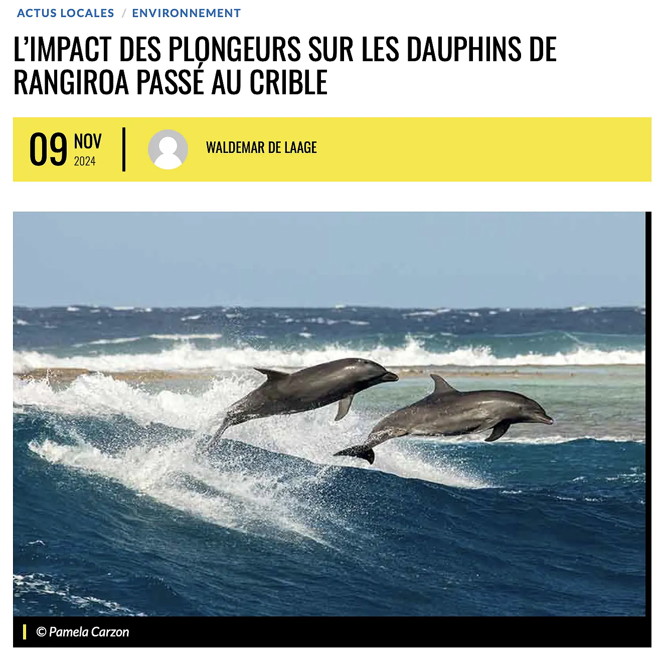 The impact of scuba diving tourism on the bottlenose dolphins of Rangiroa under scrutiny