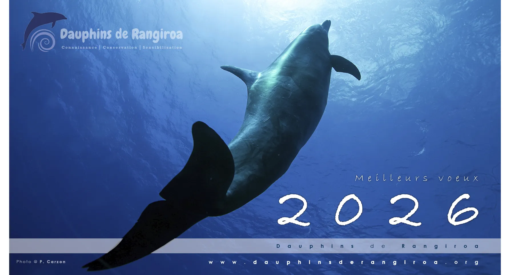 The association "Dauphins de Rangiroa" wishes you an excellent year 2026!