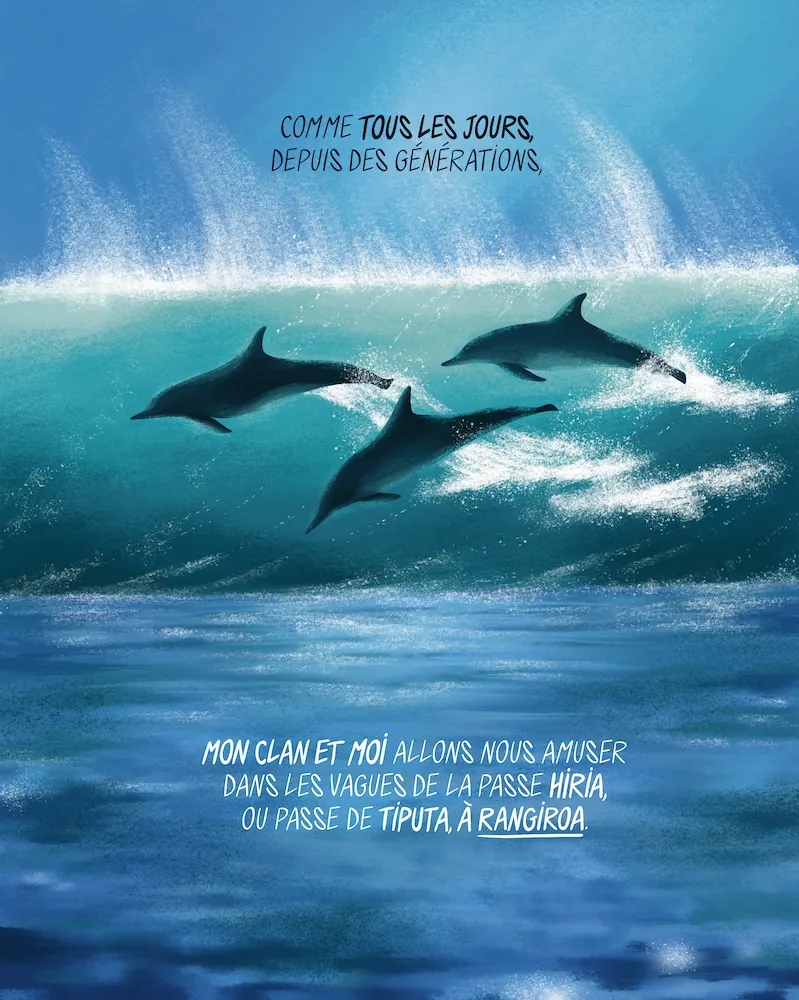 Nuestra colecta para « Moana la dauphine » está cerrada: ¡el proyecto está financiado! 🐬