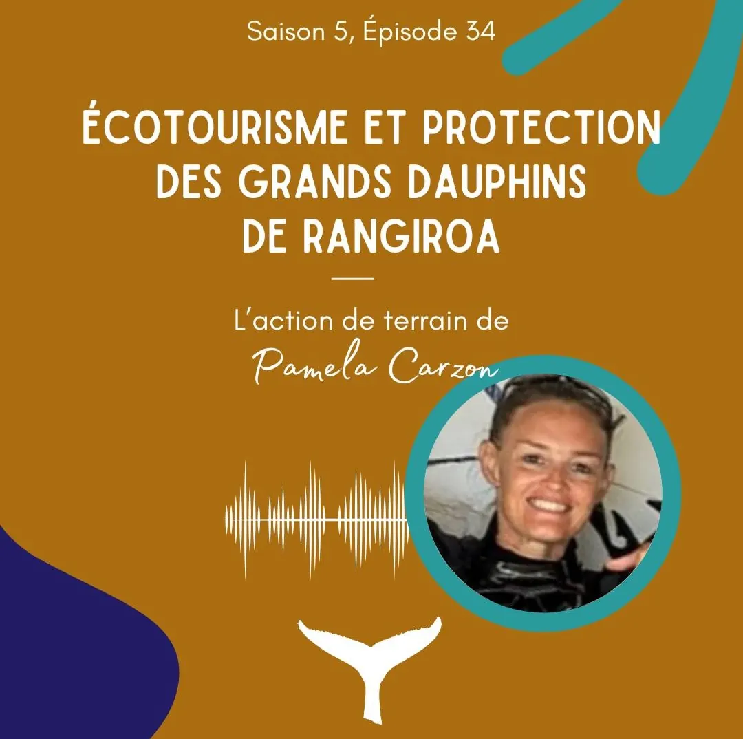Podcast: ecotourism and protection of bottlenose dolphins in Rangiroa