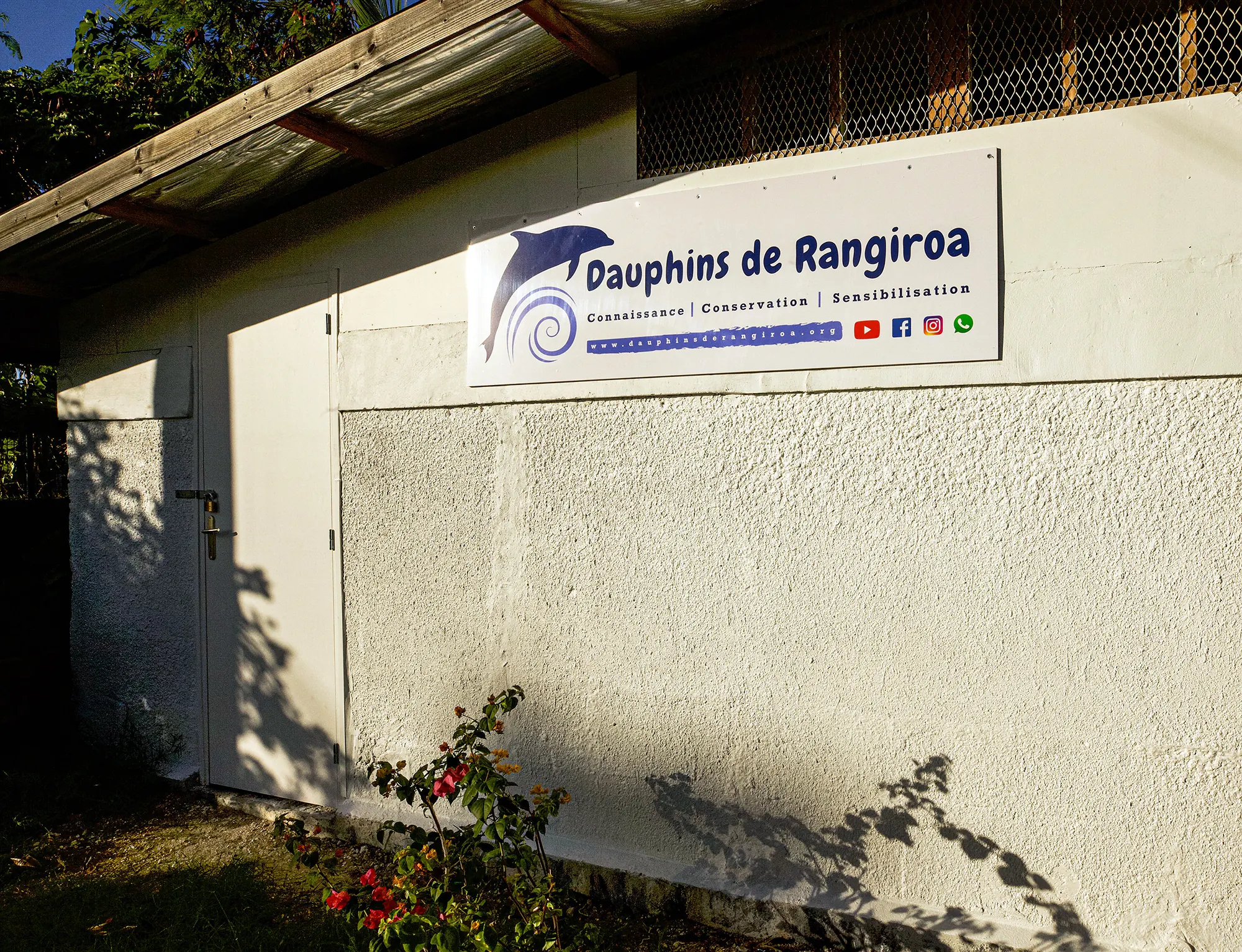 Local de l'association Dauphins de Rangiroa au Rangiroa Diving Center