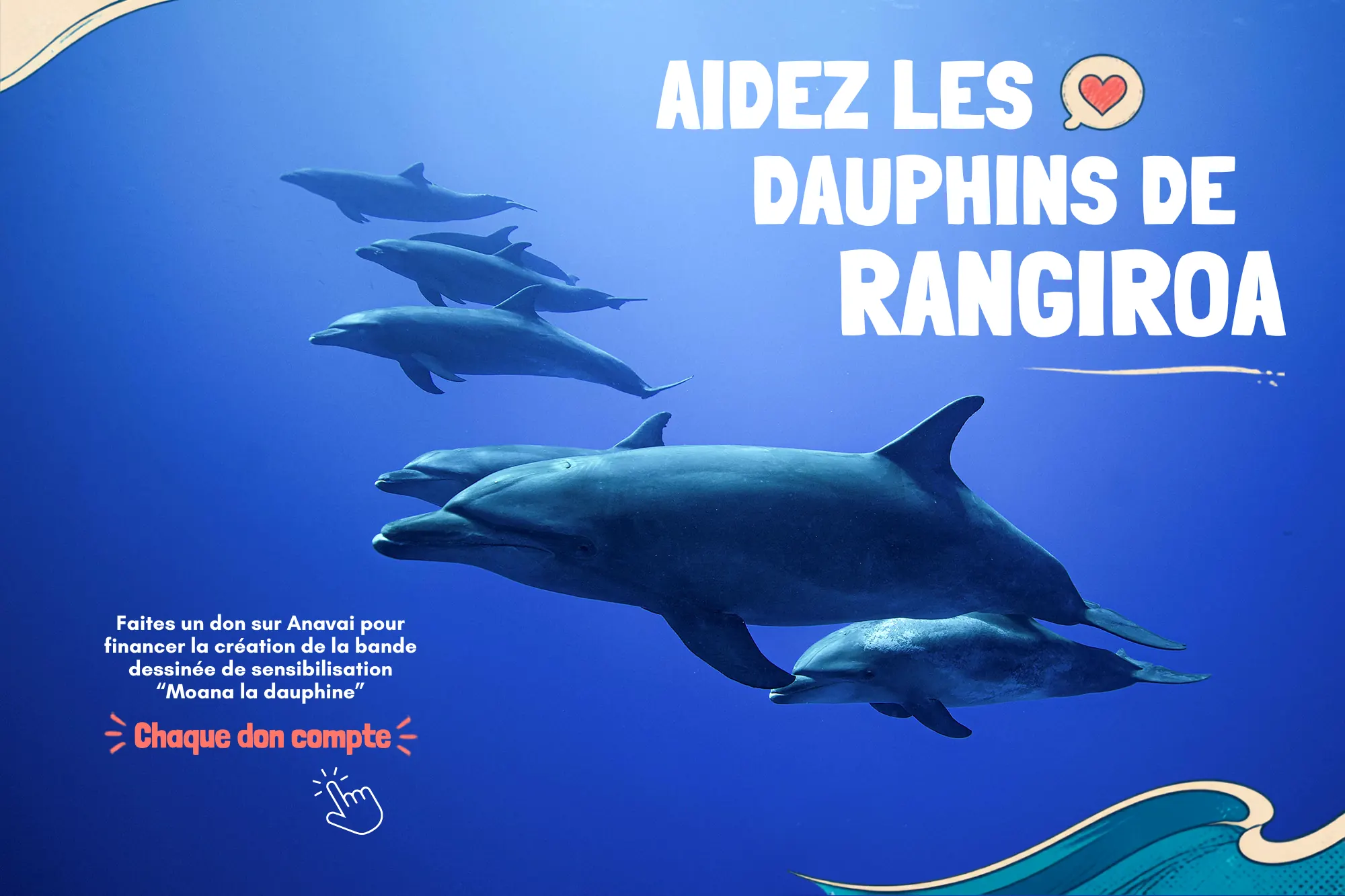 The Anavai Foundation launches a fundraiser to help the dolphins of Rangiroa!